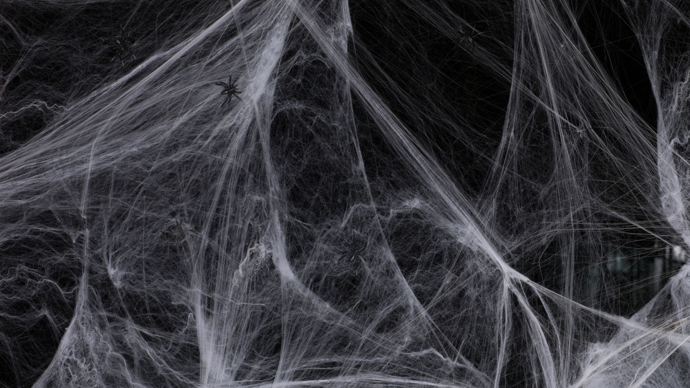 Ontwerp zonder titel (100)