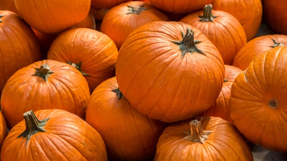 Ontwerp zonder titel (95)